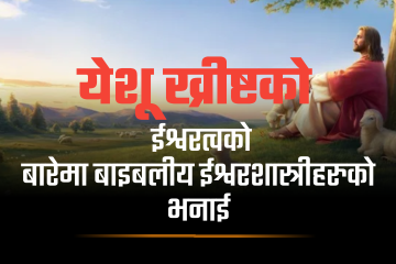 येशूको ईश्वरत्वको बारेमा बाइबलीय ईश्वरशास्त्रीहरुका भर्नाइहरु