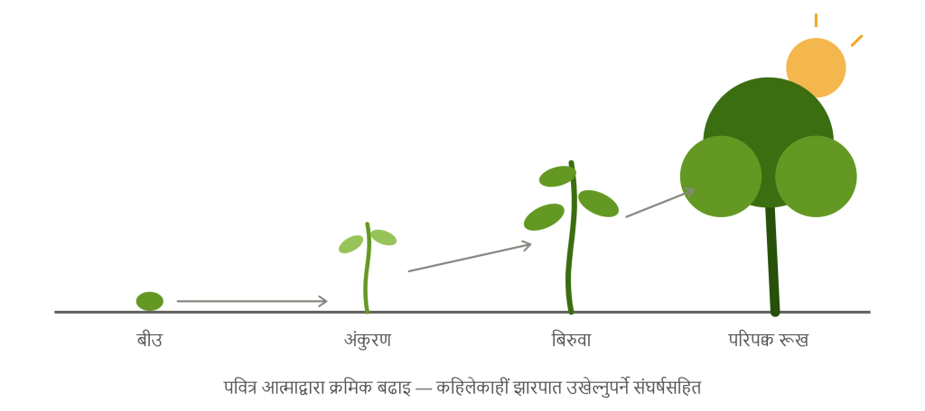 sanctification growing plant illustration